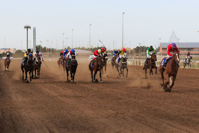 Group of people riding horses