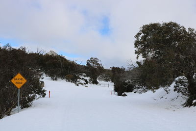 Trees on snow covered landscape against sky