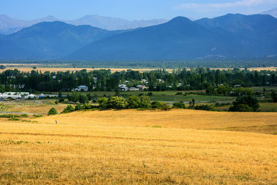 Scenic view of field against mountains