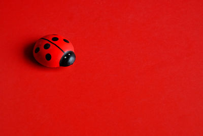 Close-up of ladybug on table against red background