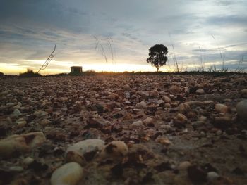 Scenic view of field against sky during sunset