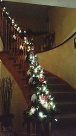 Illuminated christmas tree