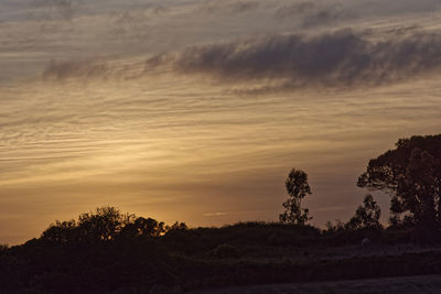 Scenic view of silhouette trees against sky during sunset