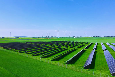 Solar panels in green field, aerial view