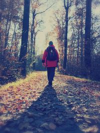 Rear view of woman walking on street in forest