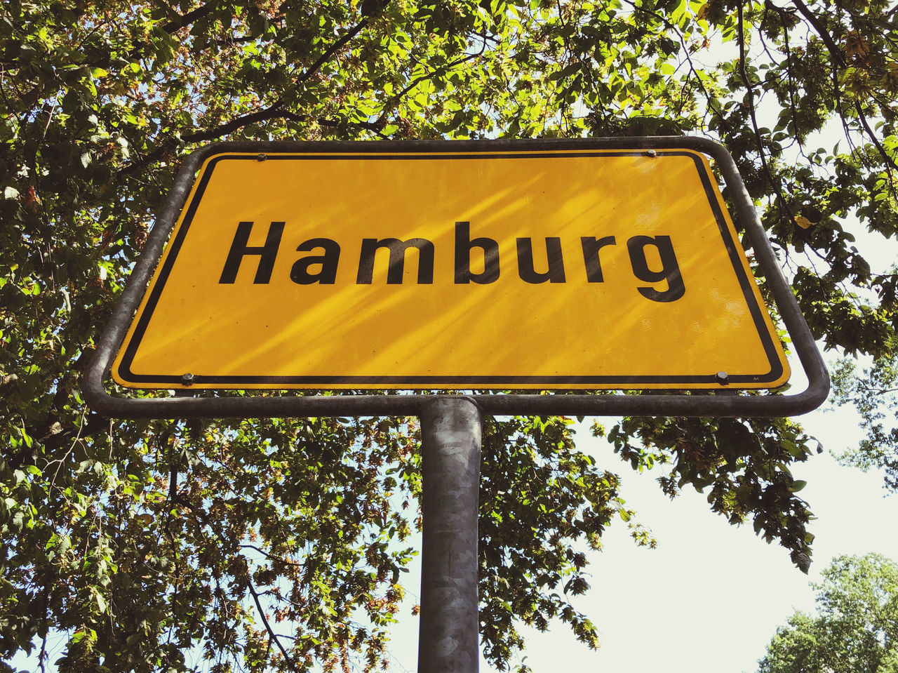 LOW ANGLE VIEW OF ROAD SIGN BY TREES