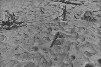 High angle view of footprints on sand at beach