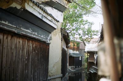 Houses against trees