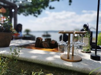 Close-up of potted plant on table by sea against sky