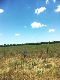 Scenic view of field against sky