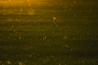 Full frame shot of illuminated street at night