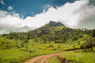 Scenic view of landscape against sky