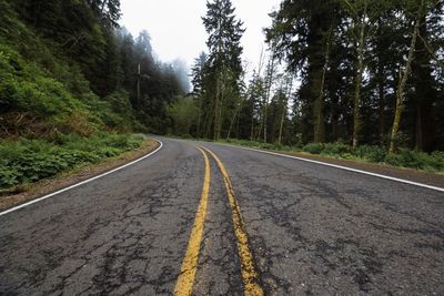 Empty road along trees