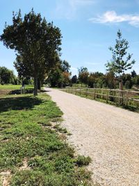 View of empty road along trees