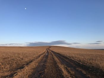 Scenic view of agricultural field against clear blue sky