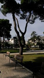 Empty chairs by tree against sky