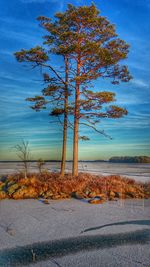 Scenic view of river against sky