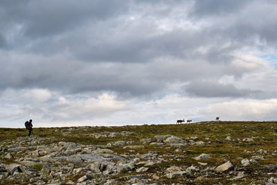 Rear view of man walking on field against sky