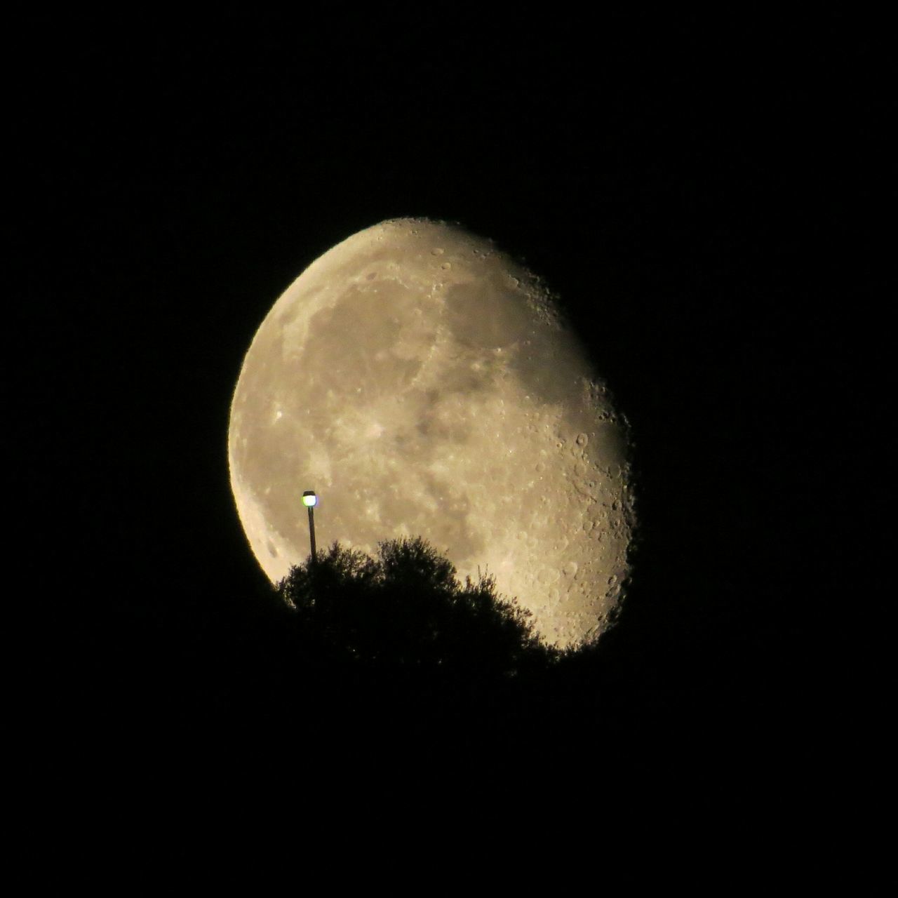 night, moon, low angle view, astronomy, full moon, sky, copy space, sphere, planetary moon, tree, silhouette, beauty in nature, dark, nature, space exploration, circle, scenics, tranquility, tranquil scene, moon surface