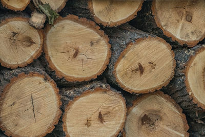 Firewood - cut logs