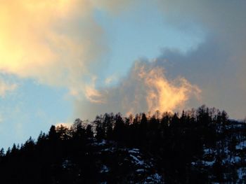 Low angle view of silhouette trees against sky during sunset