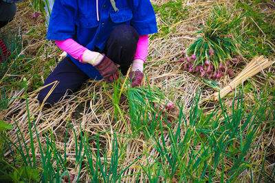 Low section of woman standing on field