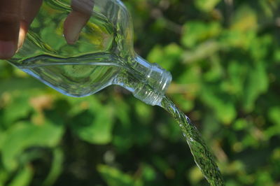 Close-up of water drop on plant