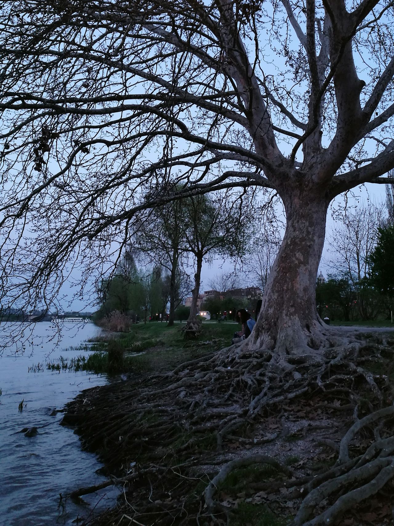 Lungolago di Mantova