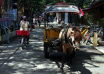 Horse cart on street in city