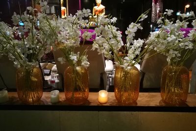 Close-up of flowers in vase on table