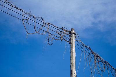 Low angle view of tangled telephone pole against blue sky