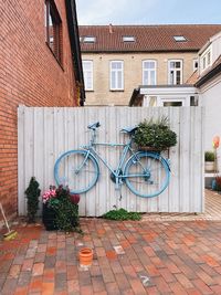 Potted plants on street by building