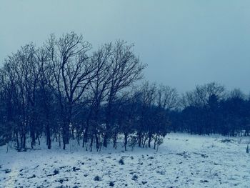 Bare trees on snow field against sky