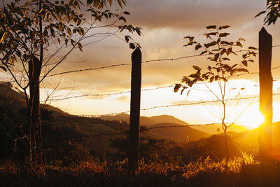 Scenic view of field against sky during sunset