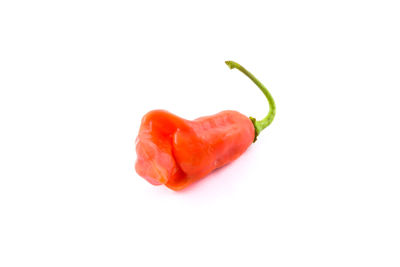 Close-up of red bell pepper against white background