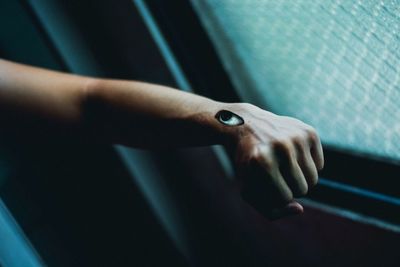 Close-up of cropped object