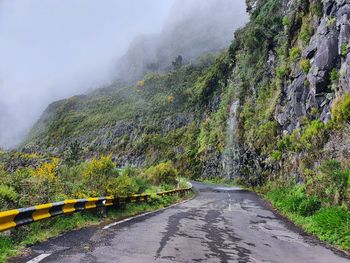 Road amidst trees