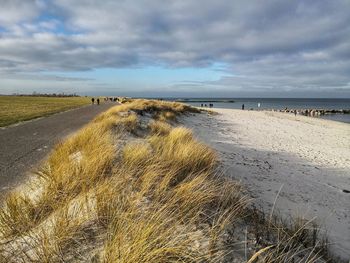 Scenic view of beach against sky