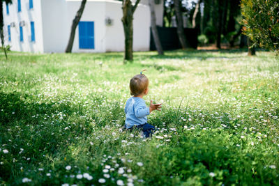 Rear view of boy on field