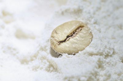 Close-up of ice cream in snow