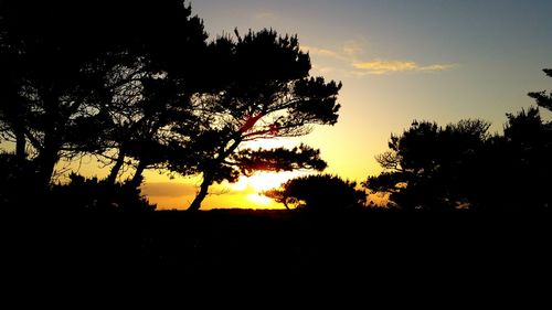 Silhouette trees against sky during sunset