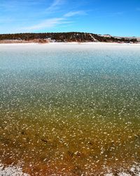 View of beach against blue sky