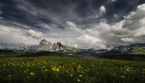 Scenic view of grassy field and mountains against cloudy sky