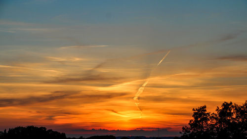 Silhouette trees against sky during sunset