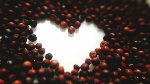 Close-up of red berries