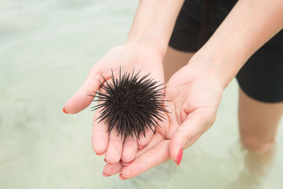 Midsection of person holding sea