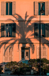 Shadow of tree on building