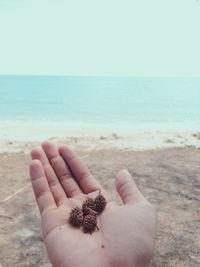 Close-up of hand holding crab on beach against clear sky