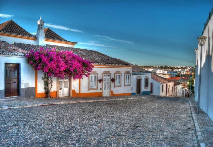 building exterior, architecture, built structure, flower, house, sky, residential structure, blue, street, residential building, potted plant, the way forward, town, clear sky, religion, day, outdoors, no people, building, place of worship