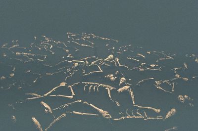 High angle view of beach against sky